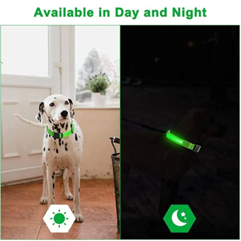 LED Dog Collars